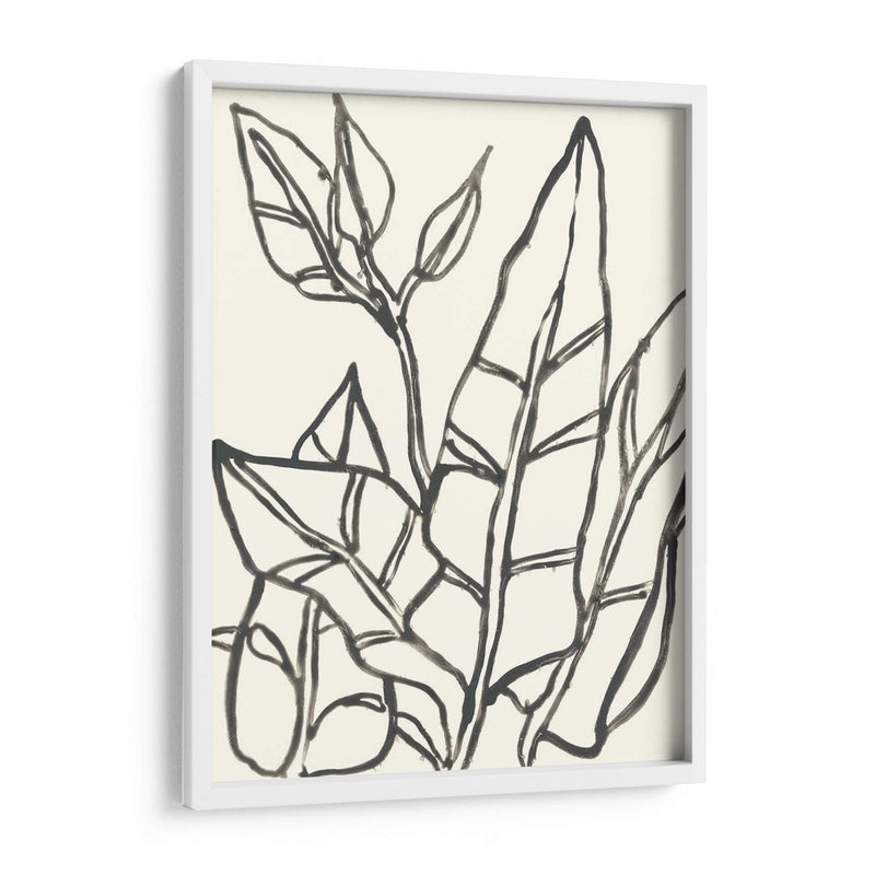 Contorno Tropical Iii - June Erica Vess | Cuadro decorativo de Canvas Lab