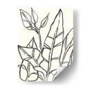 Contorno Tropical Iii - June Erica Vess | Cuadro decorativo de Canvas Lab