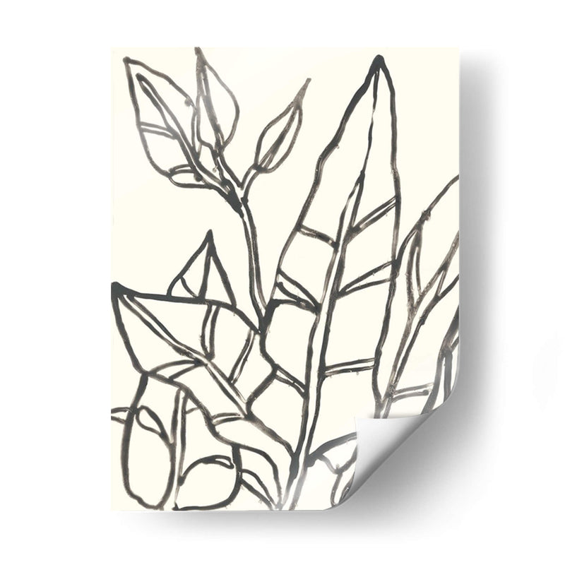 Contorno Tropical Iii - June Erica Vess | Cuadro decorativo de Canvas Lab