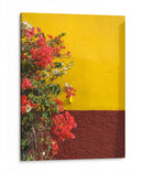 Pared con bugambilias | Cuadro decorativo de Canvas Lab
