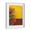 Pared con bugambilias | Cuadro decorativo de Canvas Lab