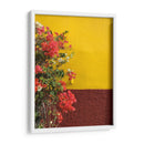 Pared con bugambilias | Cuadro decorativo de Canvas Lab