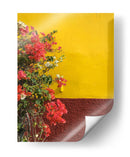 Pared con bugambilias | Cuadro decorativo de Canvas Lab