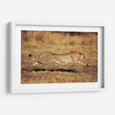 Guepardo en el Serengueti | Cuadro decorativo de Canvas Lab