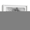 B Y W Peony Ii - Franklin Kearney | Cuadro decorativo de Canvas Lab