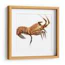 Langosta Ilustrada Ii - Rick Novak | Cuadro decorativo de Canvas Lab