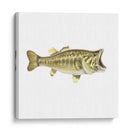 Bajo Ilustrado - Rick Novak | Cuadro decorativo de Canvas Lab
