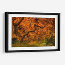 Arce Radiante I - Don Schwartz | Cuadro decorativo de Canvas Lab