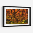 Arce Radiante Ii - Don Schwartz | Cuadro decorativo de Canvas Lab