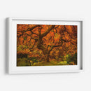 Arce Radiante Ii - Don Schwartz | Cuadro decorativo de Canvas Lab