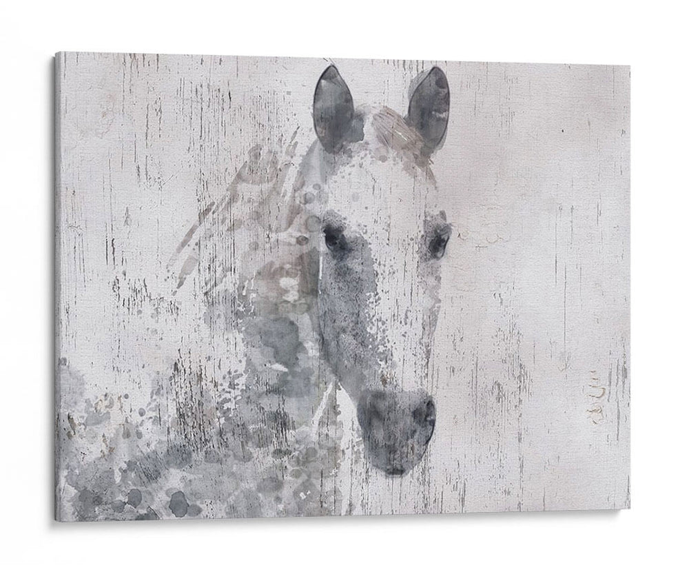 Dapple Horse I - Irena Orlov | Cuadro decorativo de Canvas Lab