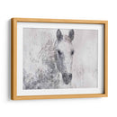 Dapple Horse I - Irena Orlov | Cuadro decorativo de Canvas Lab