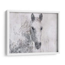 Dapple Horse I - Irena Orlov | Cuadro decorativo de Canvas Lab
