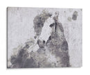 Dapple Horse Ii - Irena Orlov | Cuadro decorativo de Canvas Lab