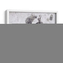 Dapple Horse Ii - Irena Orlov | Cuadro decorativo de Canvas Lab