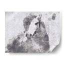 Dapple Horse Ii - Irena Orlov | Cuadro decorativo de Canvas Lab