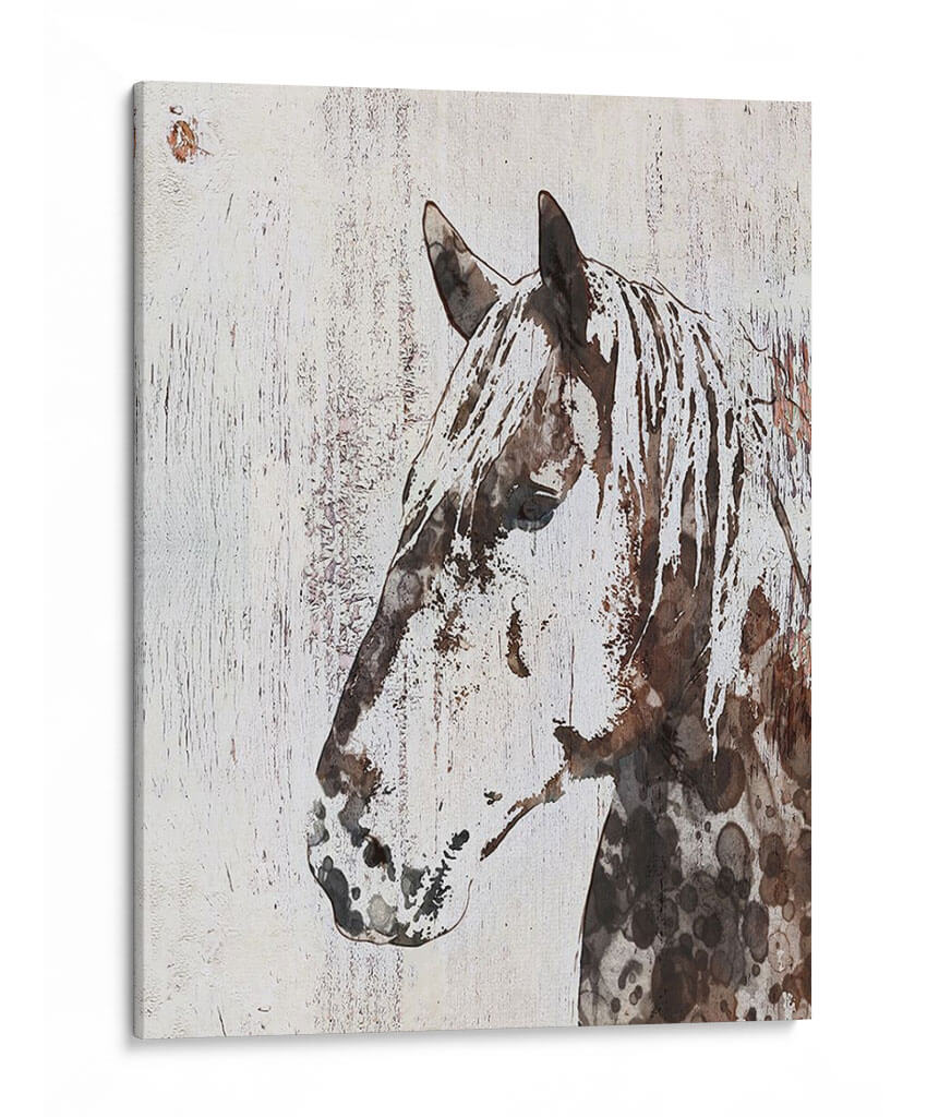 Galaxy Horse Iii - Irena Orlov | Cuadro decorativo de Canvas Lab