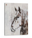 Galaxy Horse Iii - Irena Orlov | Cuadro decorativo de Canvas Lab