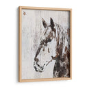 Galaxy Horse Iii - Irena Orlov | Cuadro decorativo de Canvas Lab