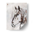 Galaxy Horse Iii - Irena Orlov | Cuadro decorativo de Canvas Lab