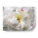 Sin Aliento Ii - Irena Orlov | Cuadro decorativo de Canvas Lab