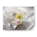 Sin Aliento Iii - Irena Orlov | Cuadro decorativo de Canvas Lab