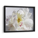 Sin Aliento Iv - Irena Orlov | Cuadro decorativo de Canvas Lab