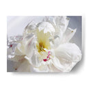 Sin Aliento Iv - Irena Orlov | Cuadro decorativo de Canvas Lab