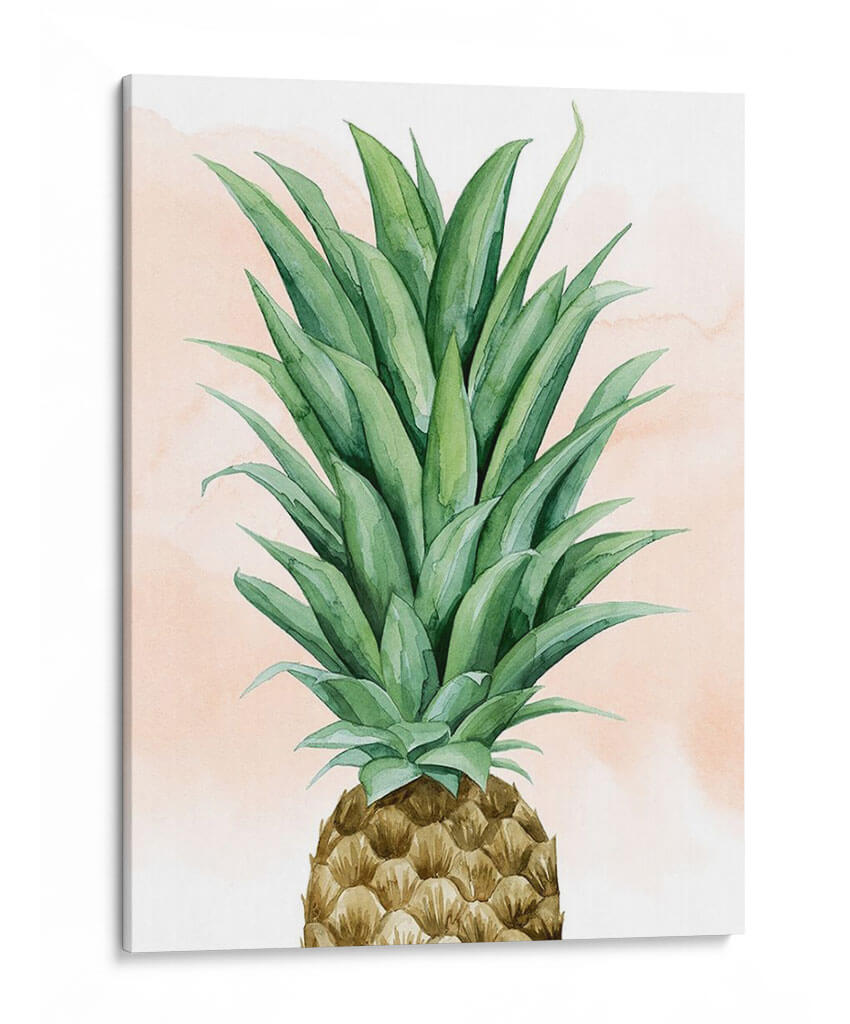 Piña En Coral Ii - Grace Popp | Cuadro decorativo de Canvas Lab