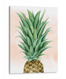 Piña En Coral Ii - Grace Popp | Cuadro decorativo de Canvas Lab