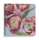 Malva Tulipanes I - Emma Scarvey | Cuadro decorativo de Canvas Lab