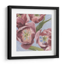 Malva Tulipanes I - Emma Scarvey | Cuadro decorativo de Canvas Lab