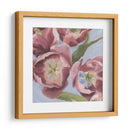 Malva Tulipanes I - Emma Scarvey | Cuadro decorativo de Canvas Lab