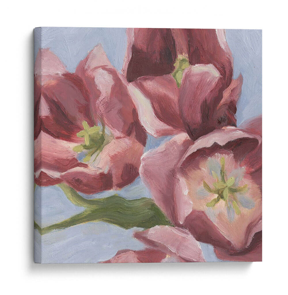 Malva Tulipanes Ii - Emma Scarvey | Cuadro decorativo de Canvas Lab