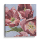 Malva Tulipanes Ii - Emma Scarvey | Cuadro decorativo de Canvas Lab