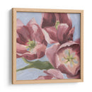 Malva Tulipanes Ii - Emma Scarvey | Cuadro decorativo de Canvas Lab