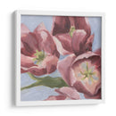 Malva Tulipanes Ii - Emma Scarvey | Cuadro decorativo de Canvas Lab