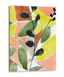 Diversión Tropical I - Jennifer Goldberger | Cuadro decorativo de Canvas Lab