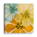 Brillo De Primavera I - Alonzo Saunders | Cuadro decorativo de Canvas Lab