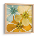 Brillo De Primavera I - Alonzo Saunders | Cuadro decorativo de Canvas Lab