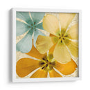 Brillo De Primavera I - Alonzo Saunders | Cuadro decorativo de Canvas Lab