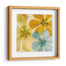 Springtime Glow Ii - Alonzo Saunders | Cuadro decorativo de Canvas Lab