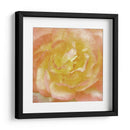 Flor De Pared I - Alonzo Saunders | Cuadro decorativo de Canvas Lab