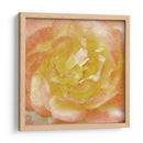 Flor De Pared I - Alonzo Saunders | Cuadro decorativo de Canvas Lab