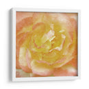 Flor De Pared I - Alonzo Saunders | Cuadro decorativo de Canvas Lab