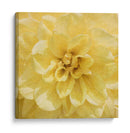 Flor De La Pared Ii - Alonzo Saunders | Cuadro decorativo de Canvas Lab