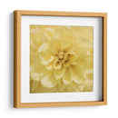 Flor De La Pared Ii - Alonzo Saunders | Cuadro decorativo de Canvas Lab