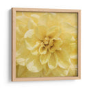 Flor De La Pared Ii - Alonzo Saunders | Cuadro decorativo de Canvas Lab