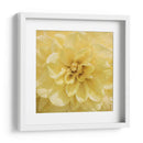 Flor De La Pared Ii - Alonzo Saunders | Cuadro decorativo de Canvas Lab