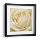 Flor De Pared Iii - Alonzo Saunders | Cuadro decorativo de Canvas Lab